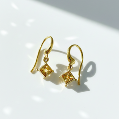 Flame of Light Earrings. POA