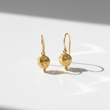 Caged Secret Earrings