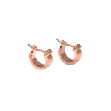 Lobe Earrings. POA